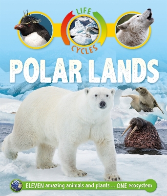 Cover of Life Cycles: Polar Lands