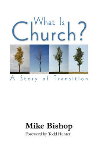 Cover of What is Church? A Story of Transition