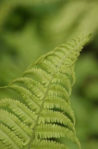 Cover of Green Fern Frond Plant Journal