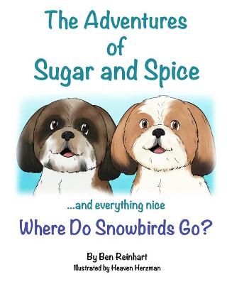 Book cover for Where do Snowbirds go?