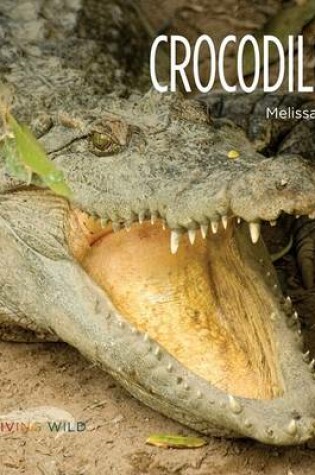 Cover of Crocodiles