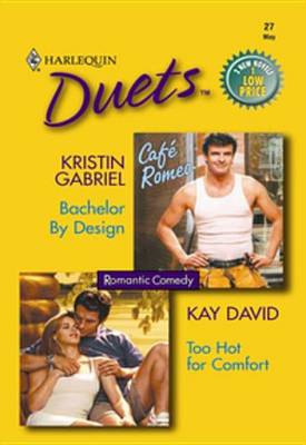 Book cover for Bachelor by Design & Too Hot for Comfort
