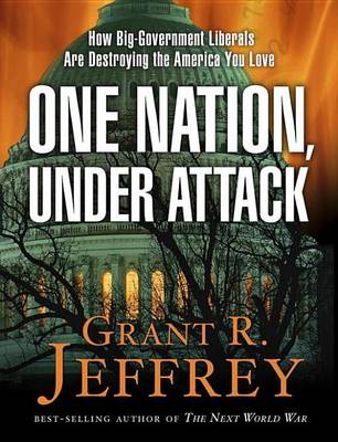 Book cover for One Nation, Under Attack