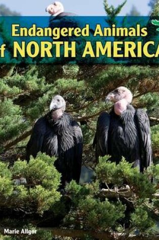 Cover of Endangered Animals of North America