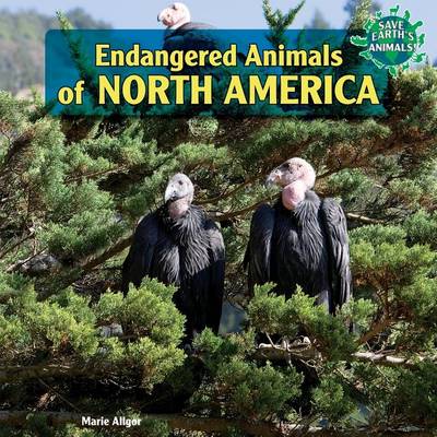 Cover of Endangered Animals of North America