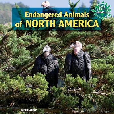 Book cover for Endangered Animals of North America