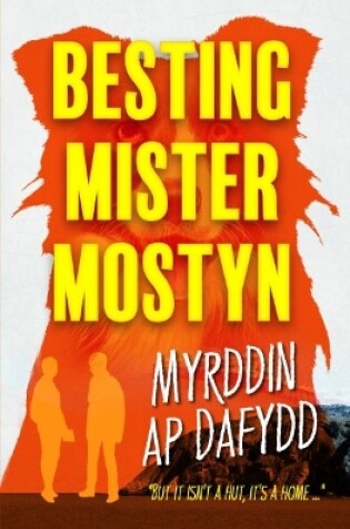 Cover of Besting Mister Mostyn