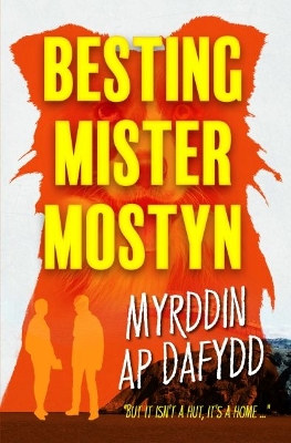 Book cover for Besting Mister Mostyn
