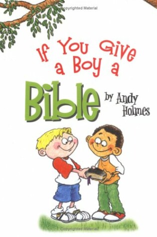 Cover of If You Give a Boy a Bible