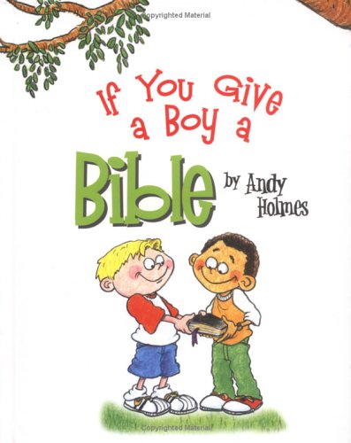 Book cover for If You Give a Boy a Bible