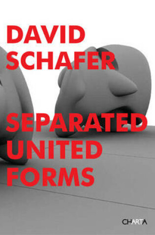 Cover of David Schafer: Separated United Forms