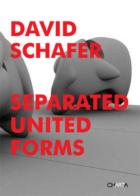 Book cover for David Schafer: Separated United Forms