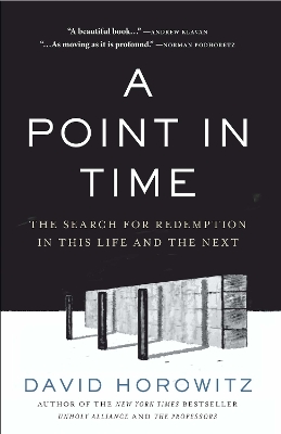 Book cover for A Point in Time