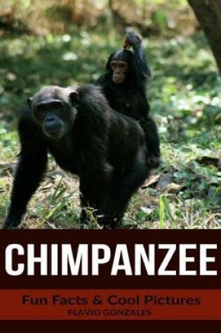 Cover of Chimpanzee