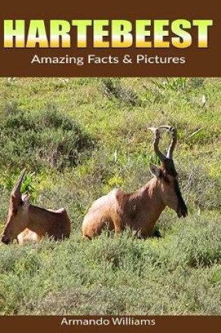 Cover of Hartebeest