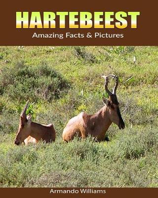 Book cover for Hartebeest