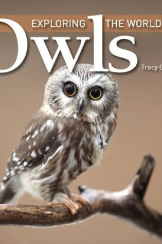 Cover of Exploring the World of Owls