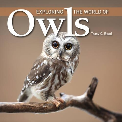 Cover of Exploring the World of Owls