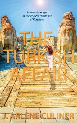 Book cover for The Turkish Affair
