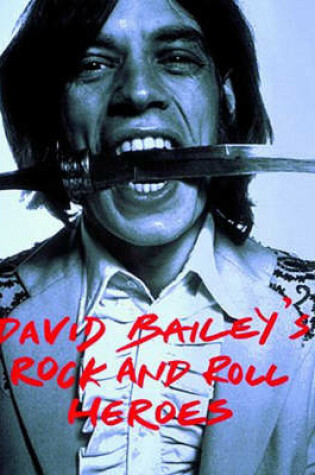 Cover of David Bailey's Rock and Roll Heroes