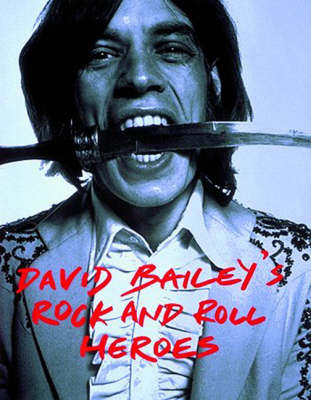 Book cover for David Bailey's Rock and Roll Heroes