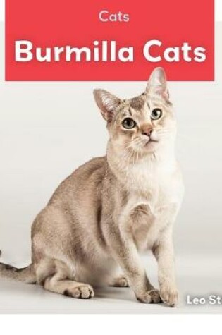 Cover of Burmilla Cats
