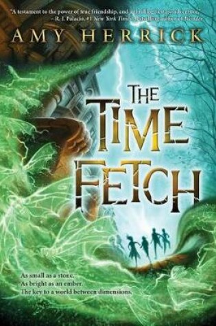 Cover of The Time Fetch