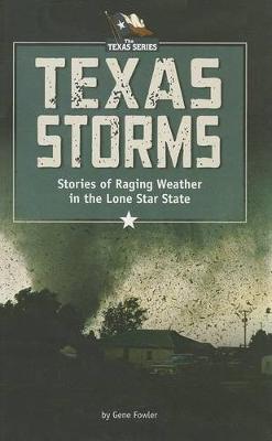 Book cover for Texas Storms