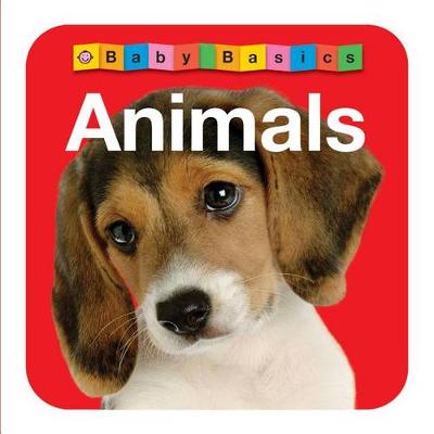 Book cover for Baby Basics Animals