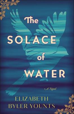 Book cover for The Solace of Water