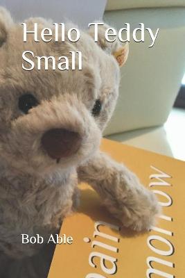 Book cover for Hello Teddy Small