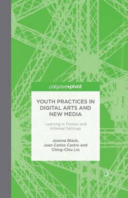 Book cover for Youth Practices in Digital Arts and New Media: Learning in Formal and Informal Settings