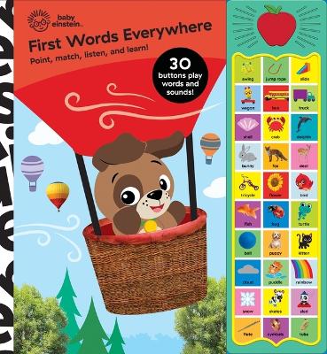 Cover of Baby Einstein First Words Sound Book