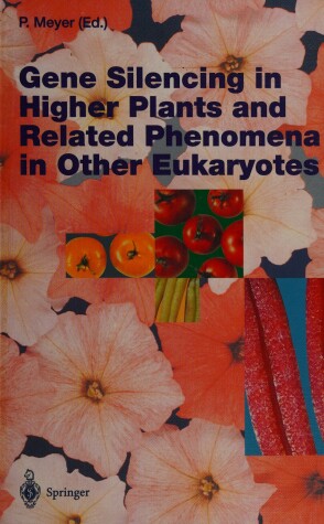 Book cover for Gene Silencing in Higher Plants and Related Phenomena in Other Eukaryotes