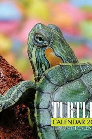 Cover of Turtles Calendar 2017