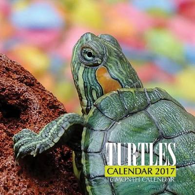 Book cover for Turtles Calendar 2017