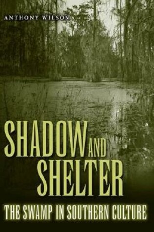 Cover of Shadow and Shelter