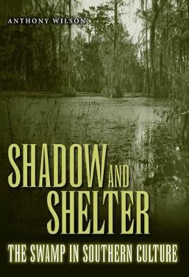 Book cover for Shadow and Shelter