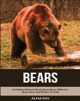 Book cover for Bears