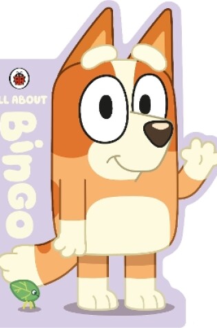 Cover of All About Bingo