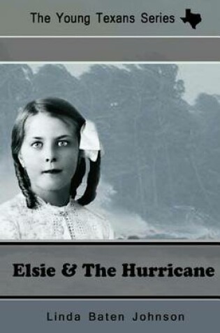 Cover of The Young Texan's Series Elsie and the Hurricane