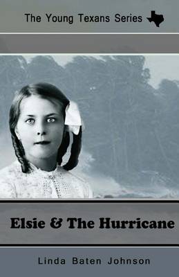 Cover of The Young Texan's Series Elsie and the Hurricane