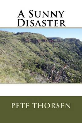 Book cover for A Sunny Disaster