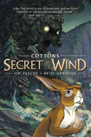 Cover of The Secret of the Wind