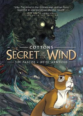Book cover for The Secret of the Wind