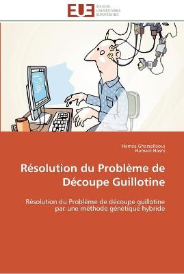 Book cover for Resolution du probleme de decoupe guillotine