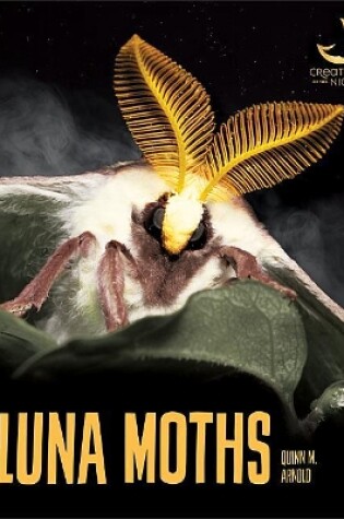 Cover of Luna Moths