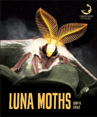 Book cover for Luna Moths