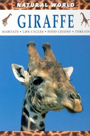 Cover of Giraffe