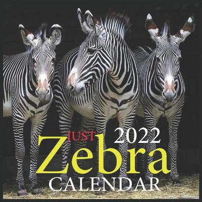 Book cover for JUST Zebra CALENDAR 2022